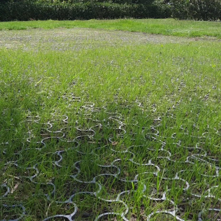 WhatsApp Image 2020-08-03 at 14.52.05 (1).webp