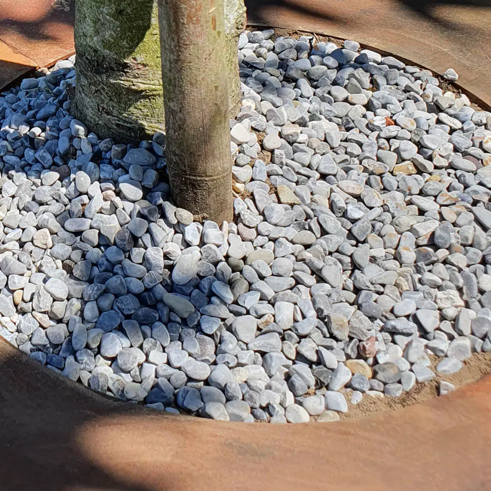 ECCO Tree Borders (51).webp