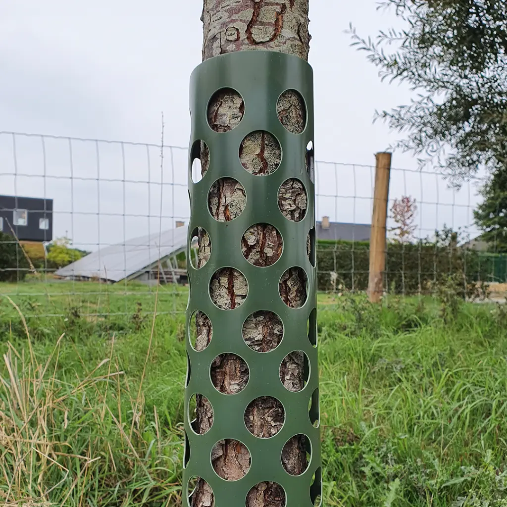Tree Guard_1080x1080.webp