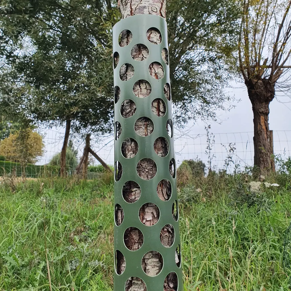 ECCO Tree Guard