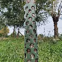 ECCO Tree Guard